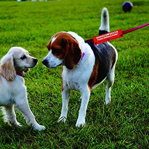 Komik Köpek Tasma Kol Sinir Kurtarma Lütfen Yavaşça Yaklaşın Köpek Tasma Wrap Wrap Uyarısı Asılı Kimlik Yama Etiketi