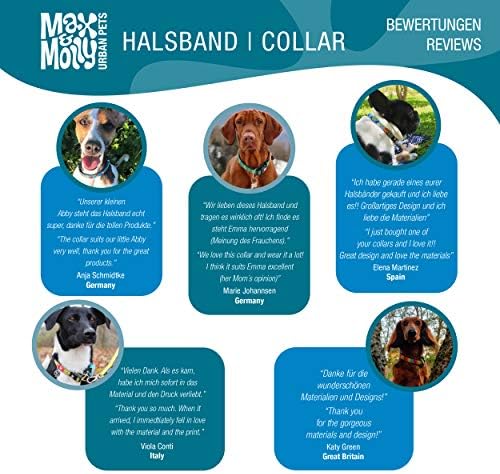 Max & Molly Ultra Güçlü ve Güvenli Naylon Akıllı kimlik köpek Tasması, Saf Gök Mavisi Büyük