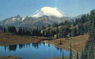 Mt. Rainier Ulusal Parkı, Washington Kartpostalı